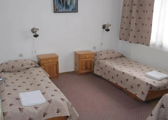 Guest Metaksinovi 3* Chepelare